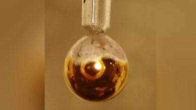 ٢٠٢١٠٧٣١ ٢٢٢٨٠٨