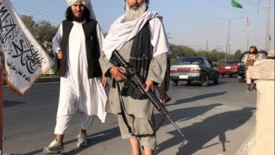 013369A1 473C 42C5 B63A C5CA0DEEF388