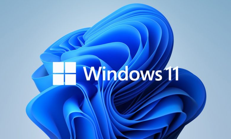 01DC8656 B1EC 4979 B1B4 ECC16C8C132C