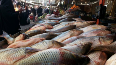 104C8E7F F754 4A22 8C07 205BE3B9EA14