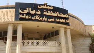 120181174238650730686