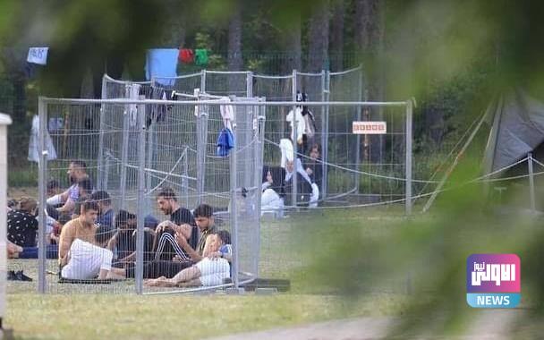 121482021 image 162833590645152378