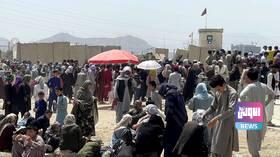 13725B95 7063 41E4 BAAD D8BB077FDF50