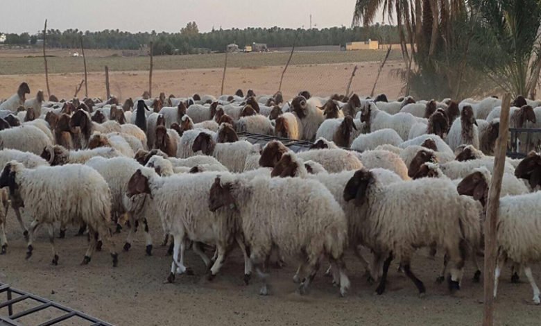 172052021 20170123 092640