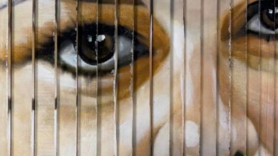 176 103231 optical illusion board 2