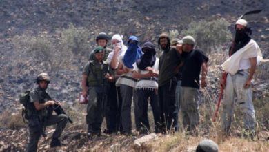 2d7f91b31bb46d1f79d2d3384a25cf09