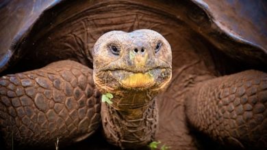 37810E34 3D70 4011 9F22D7A87CF2B29B source