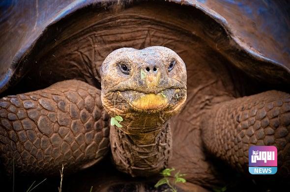 37810E34 3D70 4011 9F22D7A87CF2B29B source