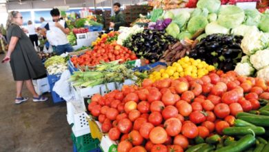 3A3B493C 8491 429B ACF8 21696532A556