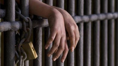 3D14D0E1 19B5 43F0 929D D4F8D3864119