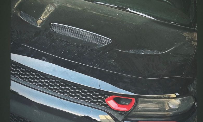 3F0A3E21 6A4F 47A3 81D3 C76ED5EE1403