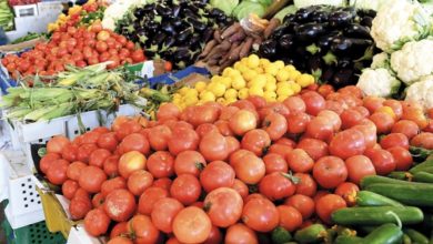 55549201 9AA3 4DD7 A6B3 42EF74F9862A