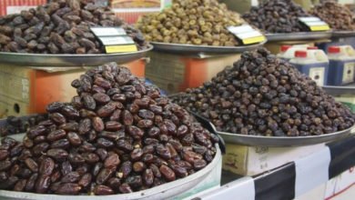 5DC6F32D 231D 4E43 A0ED 12F0666F2D60