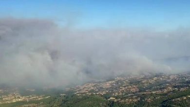 تركيا تكشف توزع الغابات المشتعلة 6 610667744c59b70257125cf5