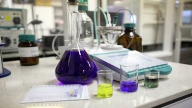 6108d3bb4236044a115767d3 1