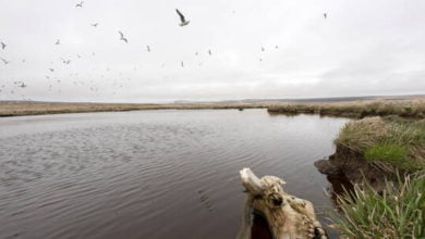 610cd4764c59b75b64381780