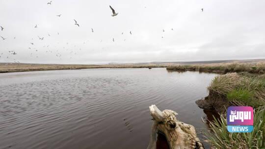 مقتل 6 أشخاص جراء تحطم طائرة سياحية في ألاسكا 1 610cd4764c59b75b64381780