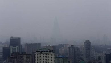 610cddb542360445bc185907