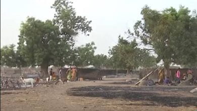 6111047742360473f755a29a