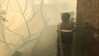 القاء القبض على شخص بصدد إشعال حريق في الجزائر 4 611354174c59b728491a9704