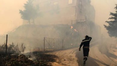 6114c3044c59b7019f0de1e6 1