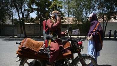 611a3f9d4236043a95357923