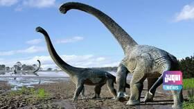 611a544d4c59b76a5f649d79