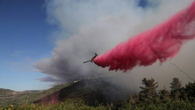 إسرائيل تطلب المساعدة الدولية لإخماد حرائق جبال القدس 4 611b4b374236047c69188698