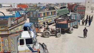 61273f2742360405de77e363