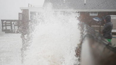 612a07fd4c59b7264b249f94