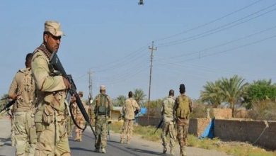 6498D874 9C2E 423A 8BD4 E2C31EAB2CF4