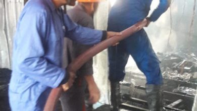 67076D04 C237 46F7 BFA9 CC8B942BA9B7