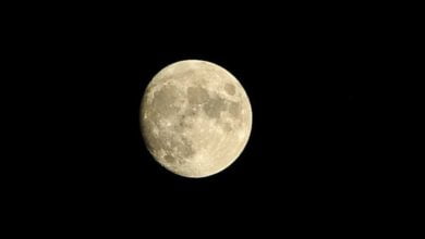 6A30637C 99BD 46EB 8394 93D710F7FFE3