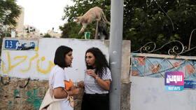 6B388711 5E28 4570 855B B6C4722353D5