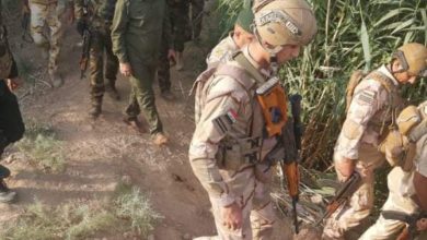 6D3F846B 595A 4B36 B7E0 65293D8002AB