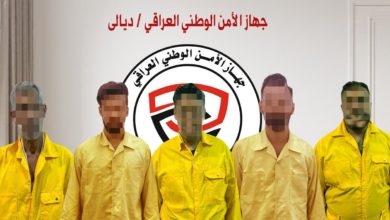 6DE5D4B5 9FB8 41AA A038 009671629F54