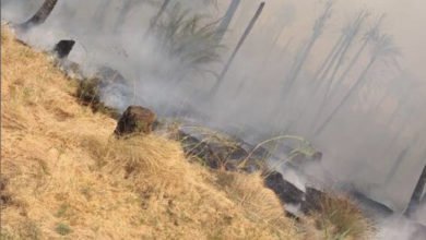 77CC605A 567E 49C6 BC87 7E178BB50F98