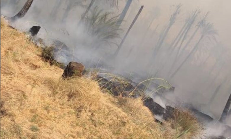 الدفاع المدني يسيطر على حريق اندلع داخل 10 بساتين في ديالى 7 77CC605A 567E 49C6 BC87 7E178BB50F98