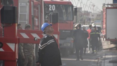 7D7E3BC7 2C78 46C4 9368 C0E435C20A45