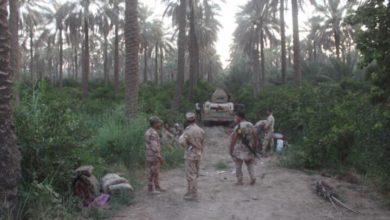 8AF1779C 434F 4CAC B193 1CD563C7EBFE