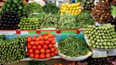 8D63E952 99A7 40D0 B891 4F9D2F1D2178