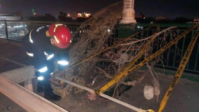 8F0DCCB4 89DF 46A4 9A7F CB244B0E0989