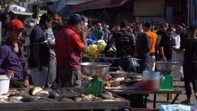 8FF31F71 024B 437C ADEE B333CFA0B0B5