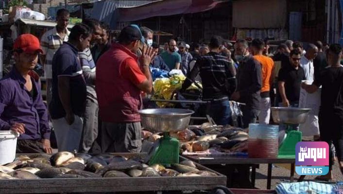 8FF31F71 024B 437C ADEE B333CFA0B0B5