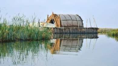 93FDC24A 4D8E 41BC 9270 31C60D5A5FCB