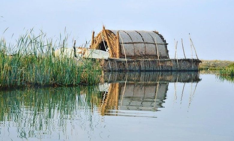 93FDC24A 4D8E 41BC 9270 31C60D5A5FCB