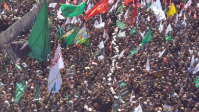 954BB823 99DD 46C6 8BB4 1F8D054A6DA4