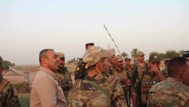 9EE5377F BA26 44E7 A527 523AE8EB0CC7