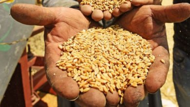 9F9D61B9 4519 4B0B 9B01 FD2150D00DF1