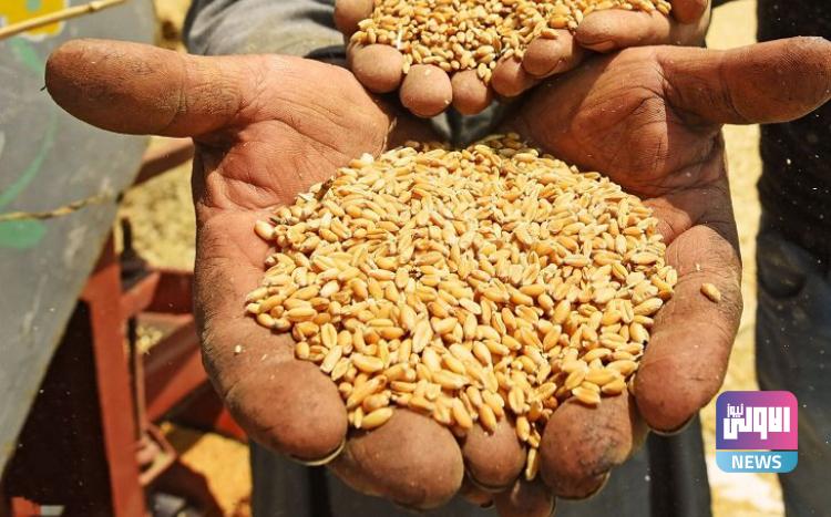 9F9D61B9 4519 4B0B 9B01 FD2150D00DF1